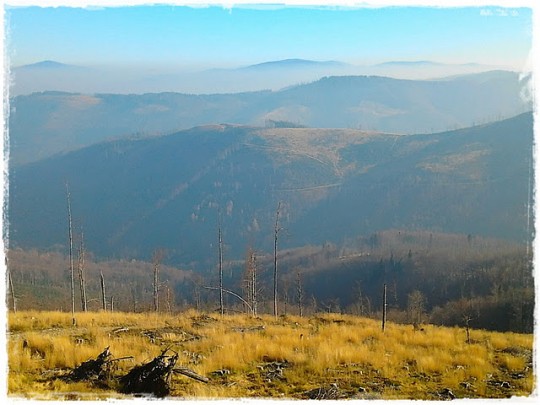 Maraton Beskidy - Andrzej Tomczyk 2