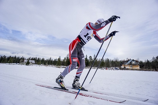 zawody SALOMON NORDIC SUNDAY, biegi narciarskie, trasa biegowa, fot adam brzoza