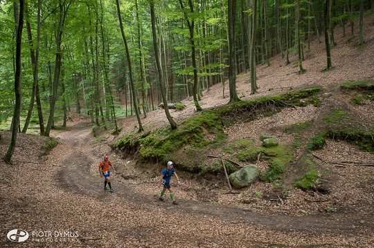 TriCity_Trail_2_fot.Piotr_Dymus