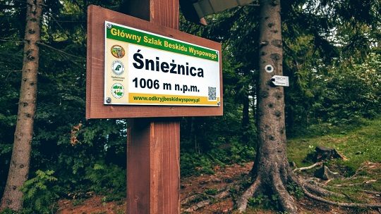 snieznica2